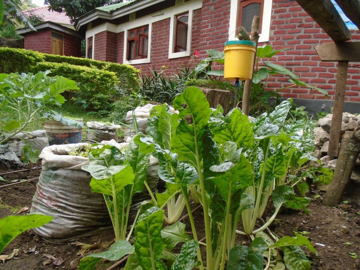 Themi Valley Eco And Cultural Tourism Homestay Arusha Bagian luar foto