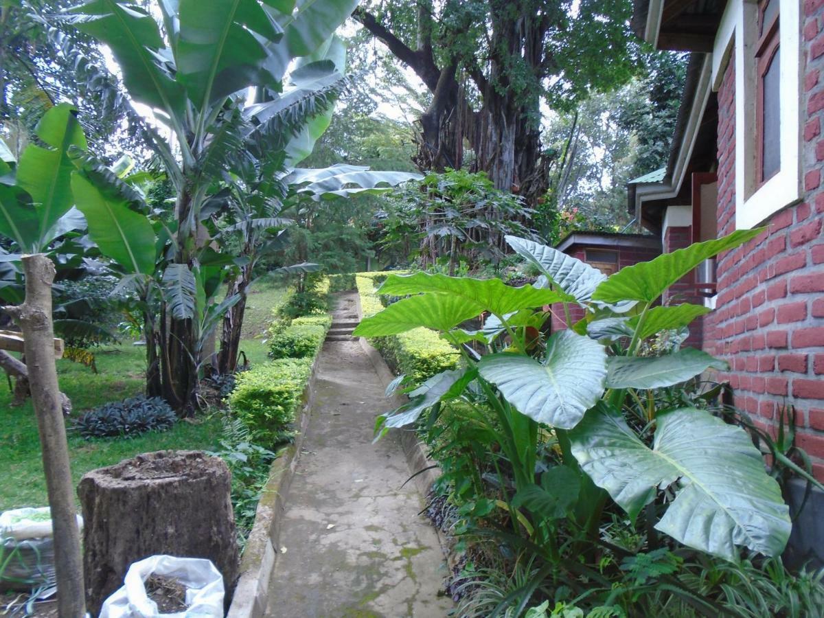 Themi Valley Eco And Cultural Tourism Homestay Arusha Bagian luar foto